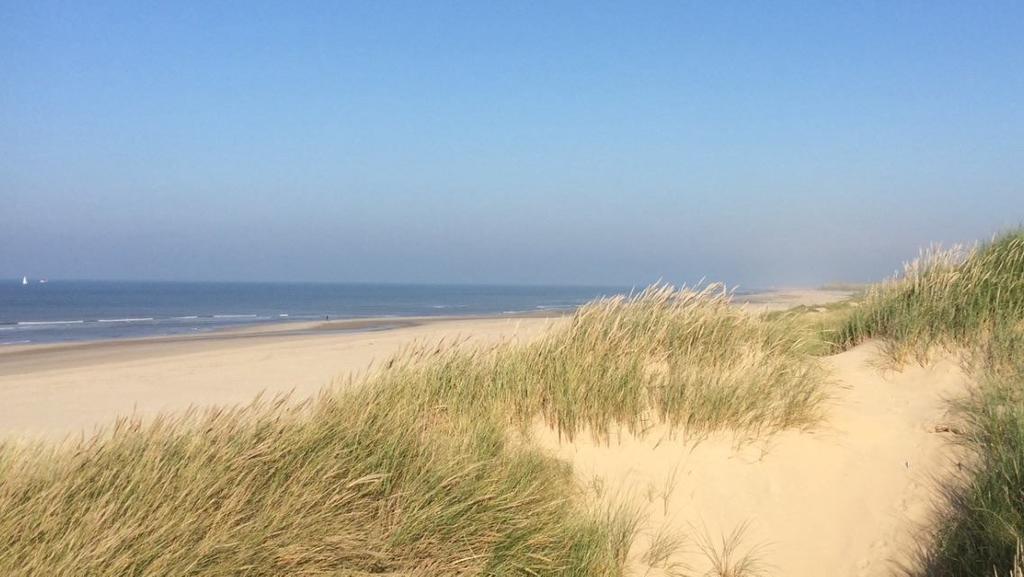 De Blaauboer, Vakantiehuisje Egmond aan Zee Habitación foto