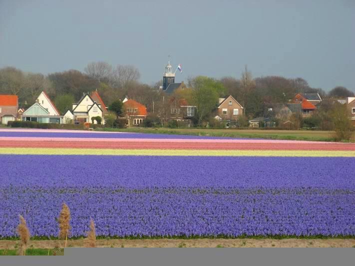 De Blaauboer, Vakantiehuisje Egmond aan Zee Habitación foto